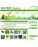 ���A�����B(t��i)�߲�