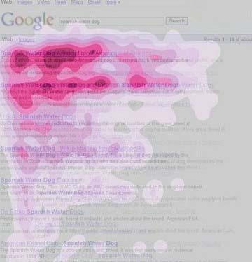 谷歌眼光跟蹤實驗結(jié)果圖