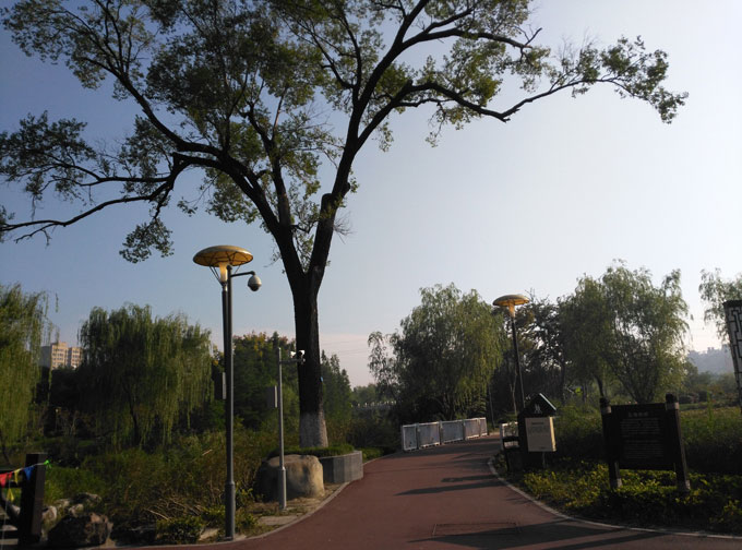 �}�^���@̫���M(f��i)