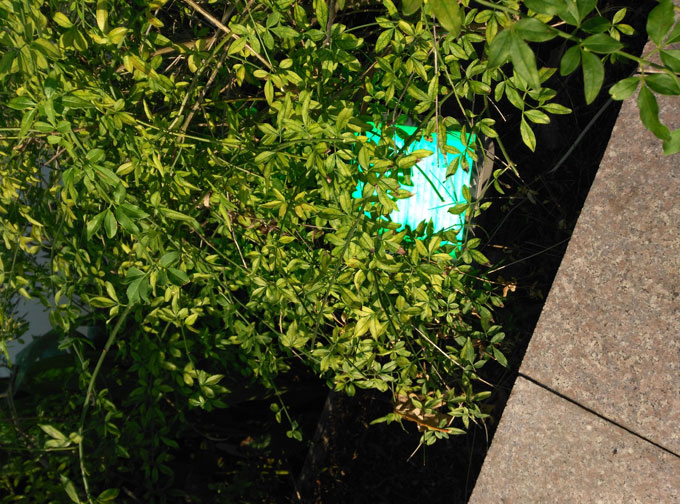 �}�^���@̫���M(f��i)