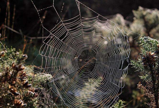 ��I(y��)�W(w��ng)�j(lu��)�I�N��ô���ŕ���Ч��