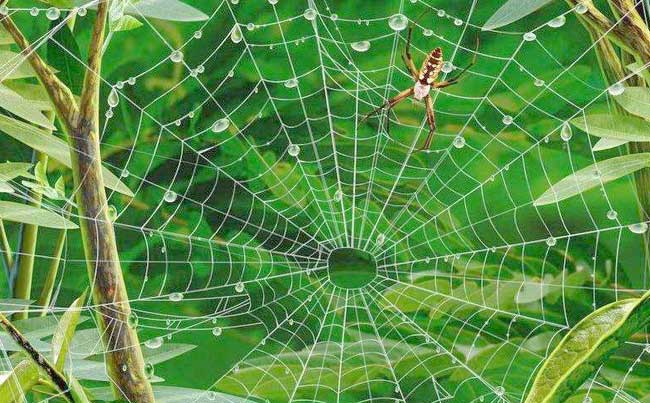 ��I(y��)��Θ�(g��u)����Ч�W(w��ng)�j(lu��)�I(y��ng)�N�wϵ