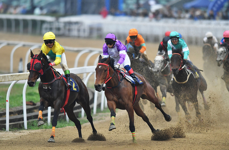 ���S��ҕ�l�ƏV����ِ�R�C(j��)��