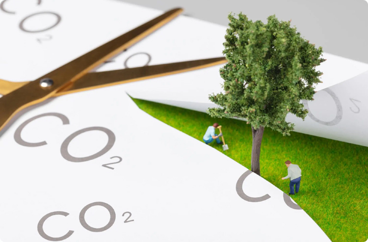 �W(w��ng)վ���O(sh��)Ҳ��̼�к� ����̼�к�Ŀ��(bi��o)�����Ռ��F(xi��n)